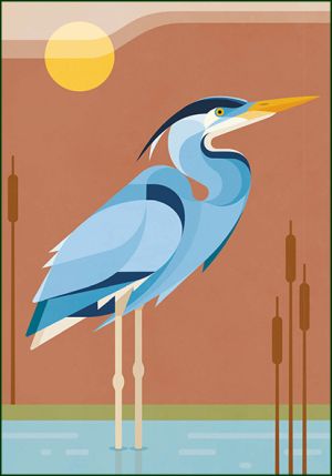 Blauwe Reiger, Naturalis