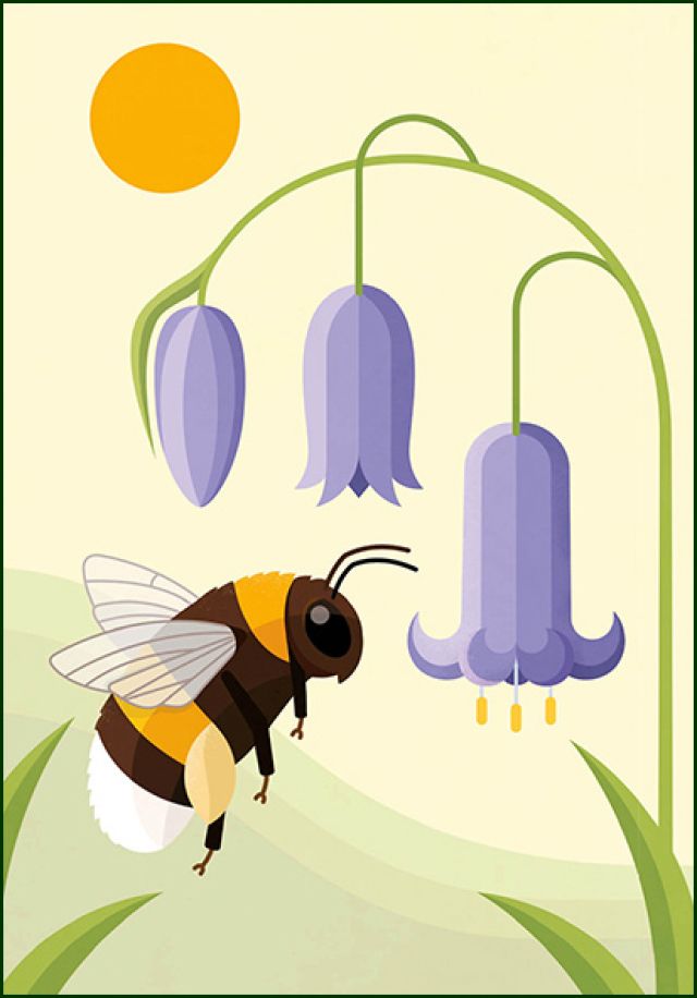 Tuinhommel, Naturalis