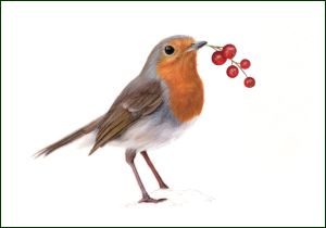 Roodborstje, Lonneke Grimbergen, Natuurmonumenten