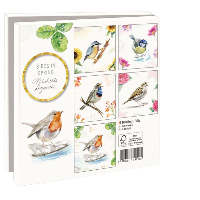 Kaartenmapje met env, vierkant:Birds in spring, Michelle Dujardin