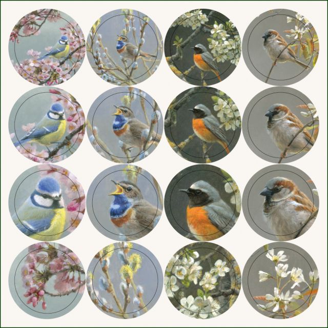 Kaartenmapje met env, vierkant: Birds and blossoms, Elwin van der Kolk