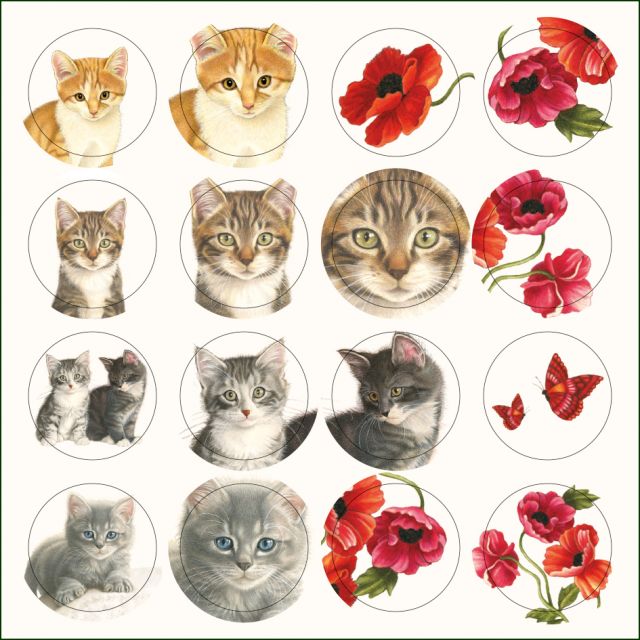 Kaartenmapje met env, vierkant: Kittens & Poppies