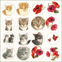 Kaartenmapje met env, vierkant: Kittens & Poppies