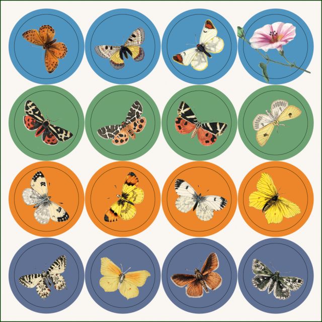 Kaartenmapje met env, vierkant: Graceful, William Forsell Kirby