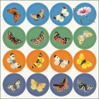 Kaartenmapje met env, vierkant: Graceful, William Forsell Kirby