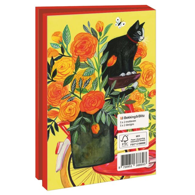 Kaartenmapje met env, klein: Special delivery, Miriam Bos