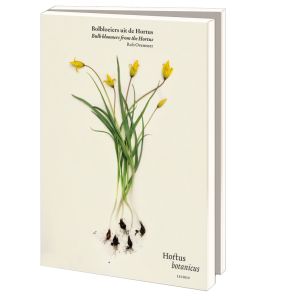 Kaartenmapje met env, groot: Bolbloeiers uit de Hortus