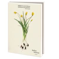 Kaartenmapje met env, groot: Bolbloeiers uit de Hortus