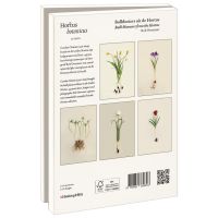 Kaartenmapje met env, groot: Bolbloeiers uit de Hortus