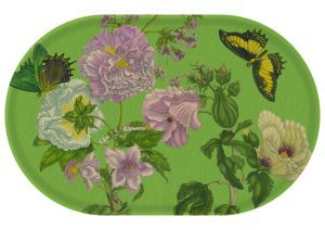 Dienblad: Maria Sibylla Merian Rijksmuseum Amsterdam