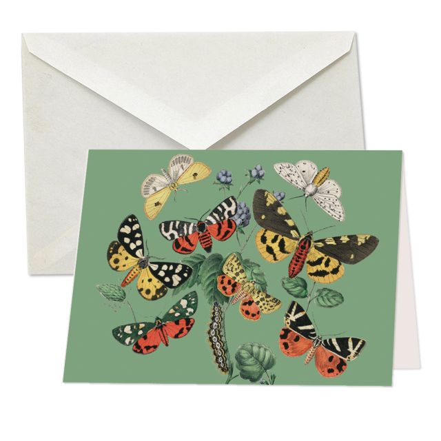 green, European butterflies and moths