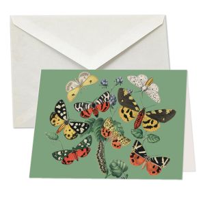 green, European butterflies and moths