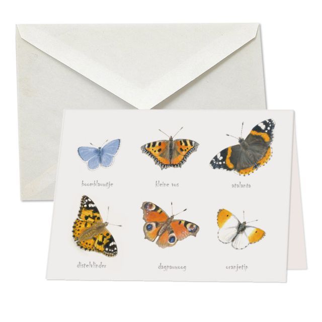 Vlinders, Atalanta, Elwin van de Kolk 