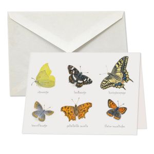 Vlinders, Citroetje, Elwin van de Kolk 