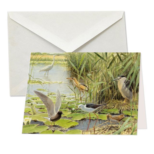 Vogels bij het water, Elwin van de Kolk, Vogelbescherming