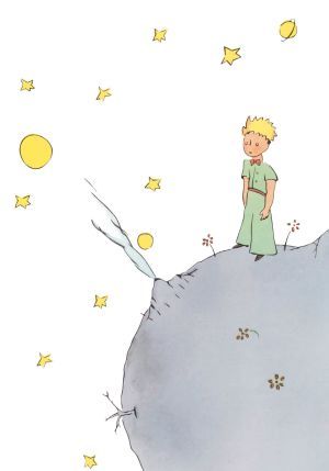 On his planet , The Little Prince
