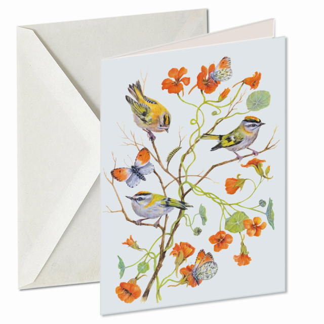 Goudhaantjes en Oranjetip, Dennis Meijering 