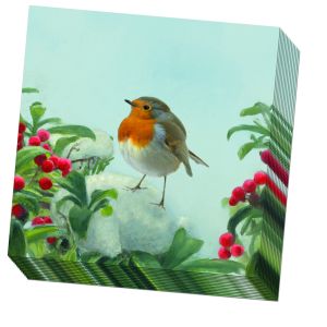 Servetten: A Robin’s Winter, Elwin van der Kolk, Vogelbescherming Nederland
