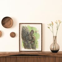 Giclée: 250e editie Vogelbescherming