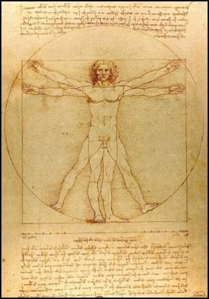 The Vitruvian Man, Leonardo da Vinci