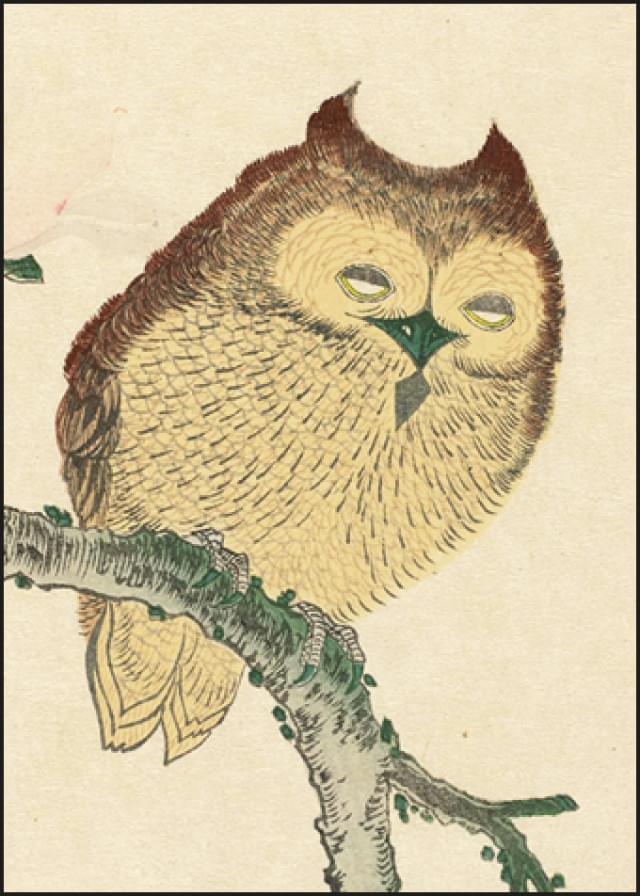 Owl on a Magnolia Branch, Kubota Shunman, Shunchôtei, Senshunan, Rijksmuseum Amsterdam