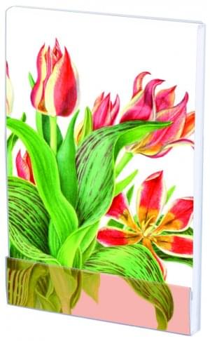 Notitieblokje: Tulipa 'Plaisir' Anita Walsmit Sachs