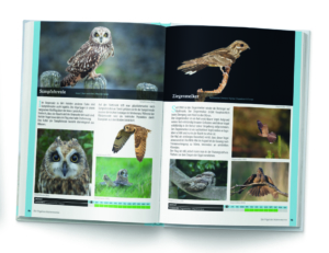 Die Vögel des Wattenmeeres, Weltnaturerbe und einzigartiges Ökosystem