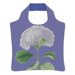 Falttasche: Hydrangea Macrophylla ‚Otaksa‘, Siebold, Hortus Leiden