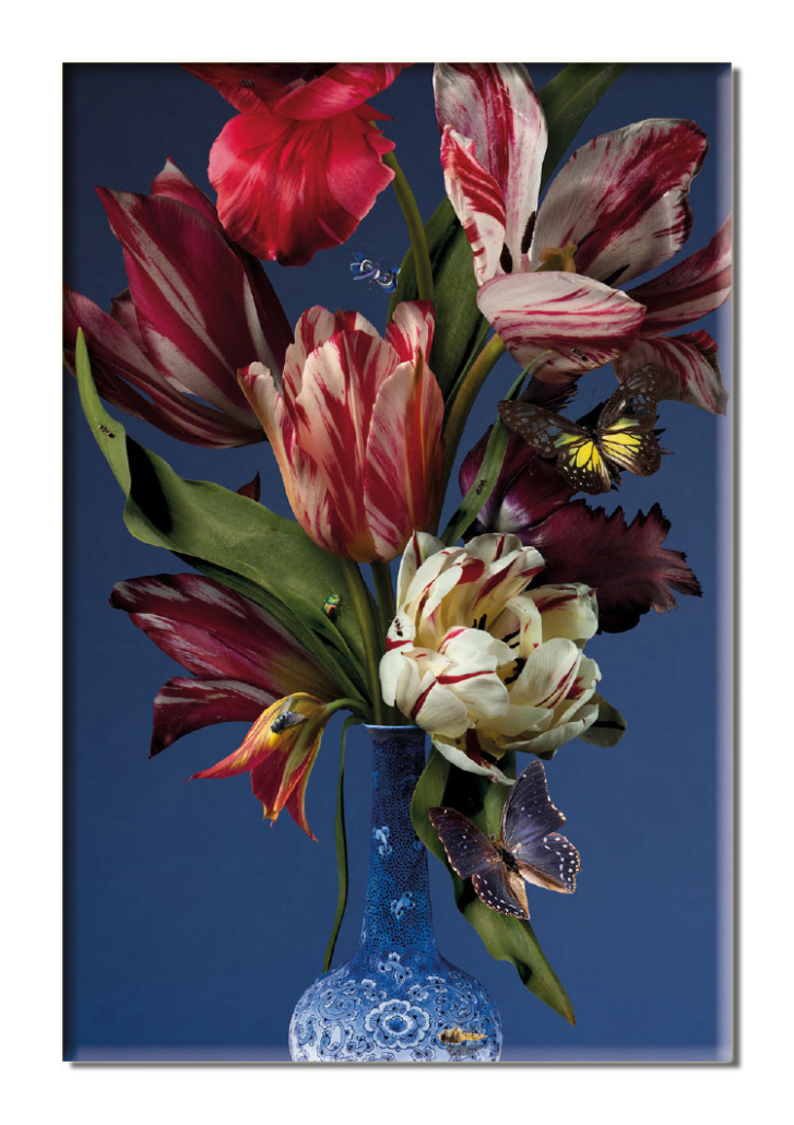 Kühlschrankmagnet: Untitled (#182), Bas Meeuws, Royal Delft
