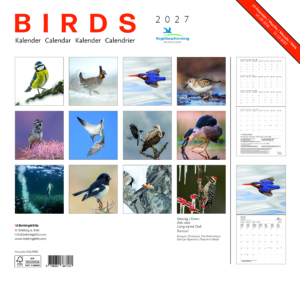Birdsmonatskalender 2027, Niederländischer Vogelschutzbund