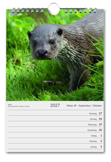 Die Niederlande – Ein Land voller Natur, Wochenkalender 2027