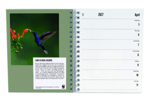 WWF Wochenagenda 2027