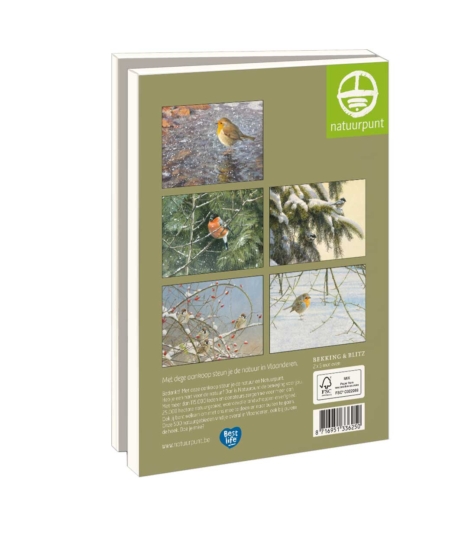 Grußkartenbox mit Umschläge – Groß: Wintervogels 3, Elwin van der Kolk, Natuurpunt