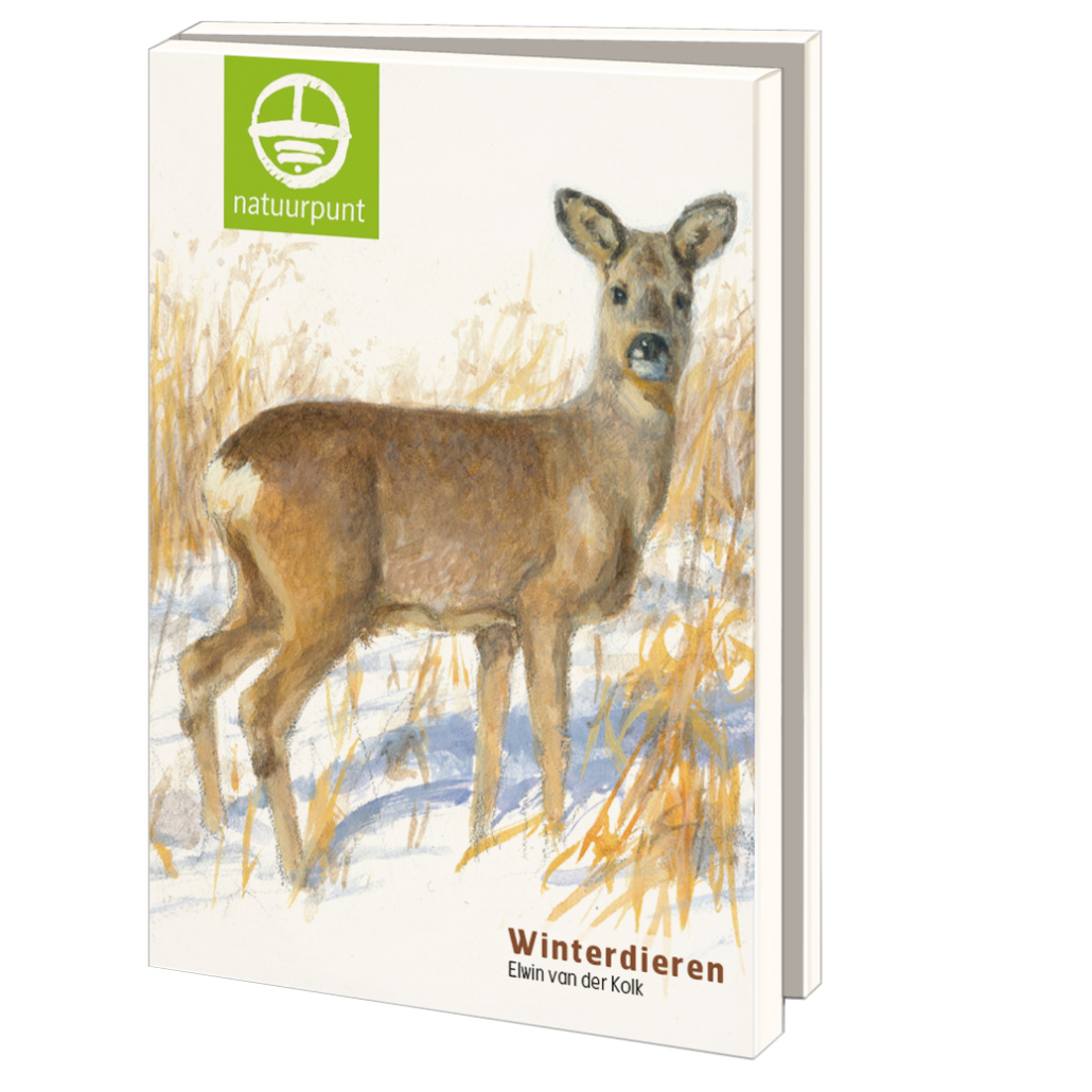 Grußkartenbox mit Umschläge – Groß: Winterdieren, Elwin van der Kolk, Natuurpunt