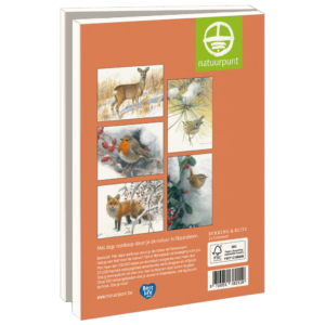 Grußkartenbox mit Umschläge – Groß: Winterdieren, Elwin van der Kolk, Natuurpunt