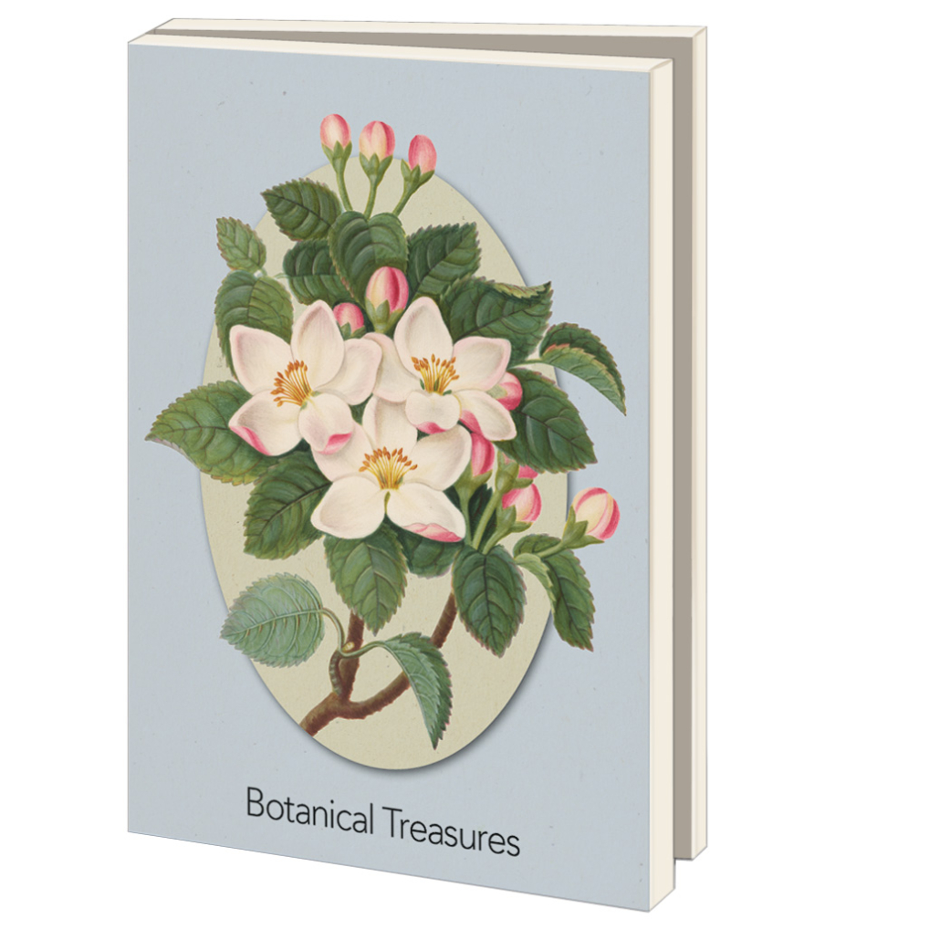 Grußkartenbox mit Umschläge – Groß: Botanical Treasures, Chester Beatty