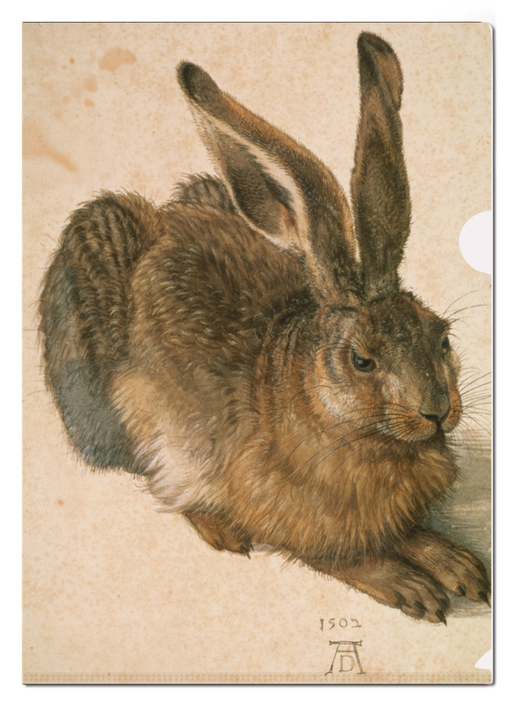 Dokumenthüllen A4: Feldhase, Albrecht Dürer, Albertina