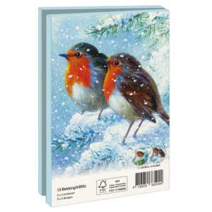 Grußkartenbox mit Umschläge – Klein: Robin in the Winter, Brian Rushton