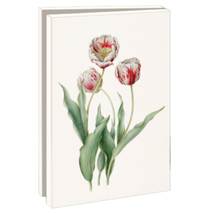 Grußkartenbox mit Umschläge – Klein: Bloemen, Anita Walsmit Sachs