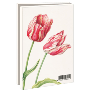 Grußkartenbox mit Umschläge – Klein: Tulipa Zomerschoon, Anita Walsmit Sachs