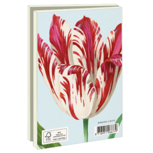 Grußkartenbox mit Umschläge – Klein: Tulpen/Tulips, Jacob Marrel, Collection Rijksmuseum Amsterdam