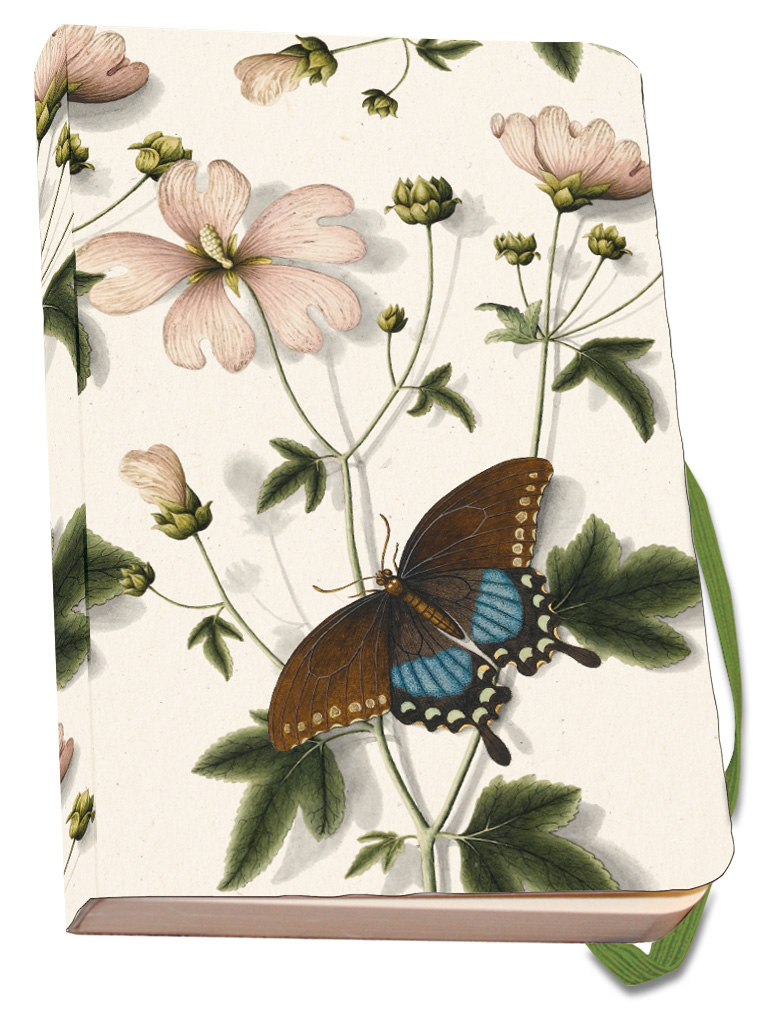 Notizbuch Softcover A6: Marsh-mallow and a Papilio troilus, Von Plenck, The Fitzwilliam Museum