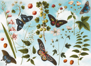 Puzzle (1.000 Stücke): Collage from several artworks, Joseph Jacob von Plenck,The Fitzwilliam Museu