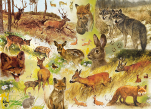 Puzzle (1.000 Teile): Drawn to Nature, Rien Poortvliet