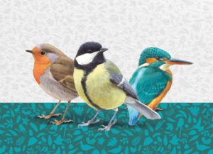 Puzzle (1.000 Stücke): Collectie 2026, Elwin van der Kolk, Vogelbescherming Nederland