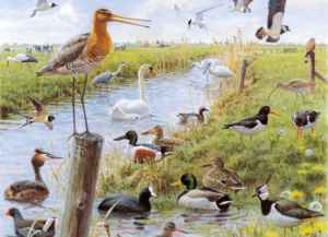 Puzzle (1.000 Stücke): Vogels, Elwin van der Kolk, Vogelbescherming Nederland
