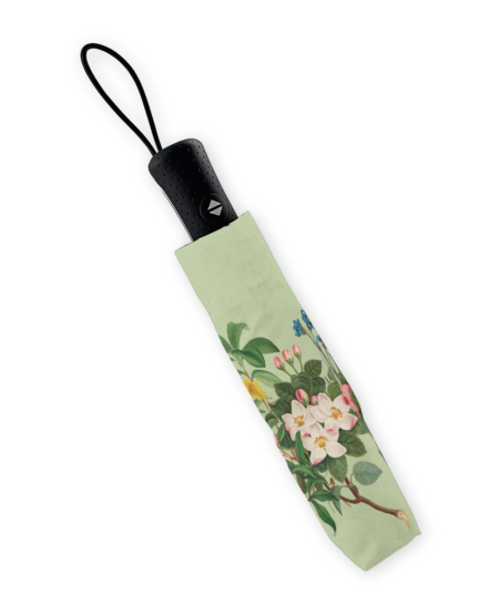 Regenschirm faltbar: Botanical Treasures, Chester Beatty