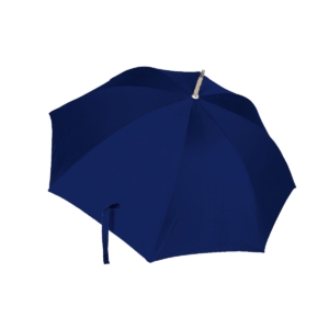 Regenschirm: Bach for all, Nederlandse Bachvereniging