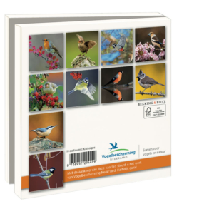 Grußkartenbox mit Umschläge – Quadratisch: Tuinvogels, Vogelbescherming Nederland