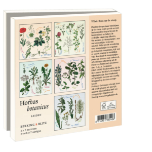 Grußkartenbox mit Umschläge – Quadratisch: Stoepplantjes, Hortus botanicus Leiden